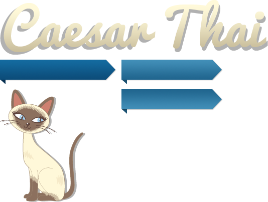 Thai Cat
